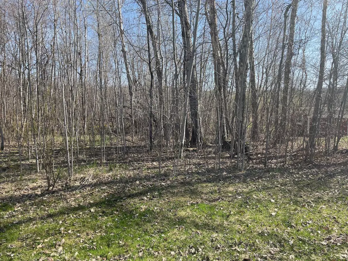 Garrison, MN 56450,Block 12 Central ST