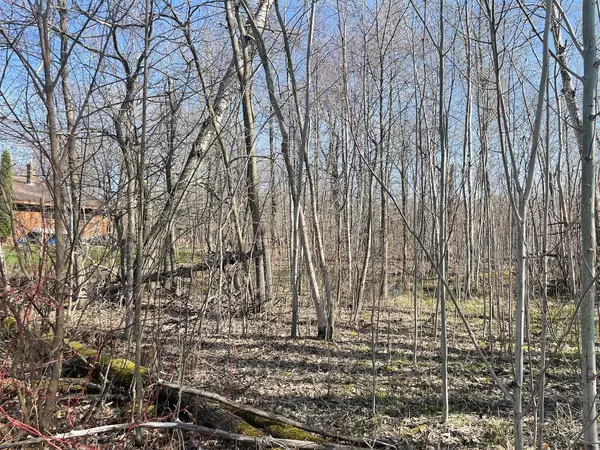 Garrison, MN 56450,Block 12 Central ST