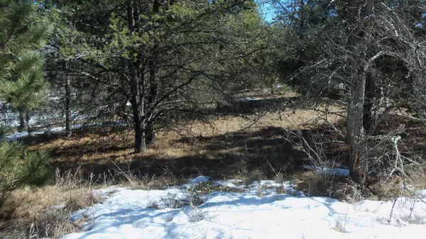 Spooner, WI 54801,LOT 4 MISTY MEADOW DRIVE