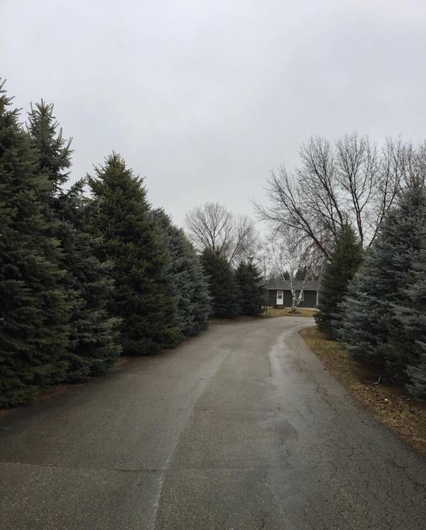 2638 Charles CT NW,  Rochester,  MN 55901