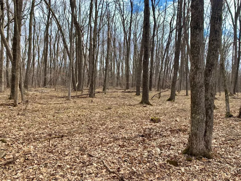 Lot 0 200th ST, Anson Twp, WI 54729