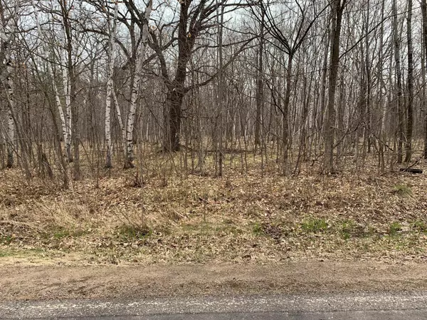 Anson Twp, WI 54729,Lot 1 105th AVE