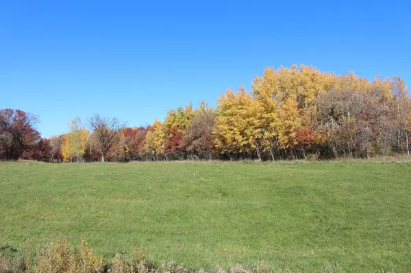 Rockville, MN 56301,Lot 7 Halfman RD