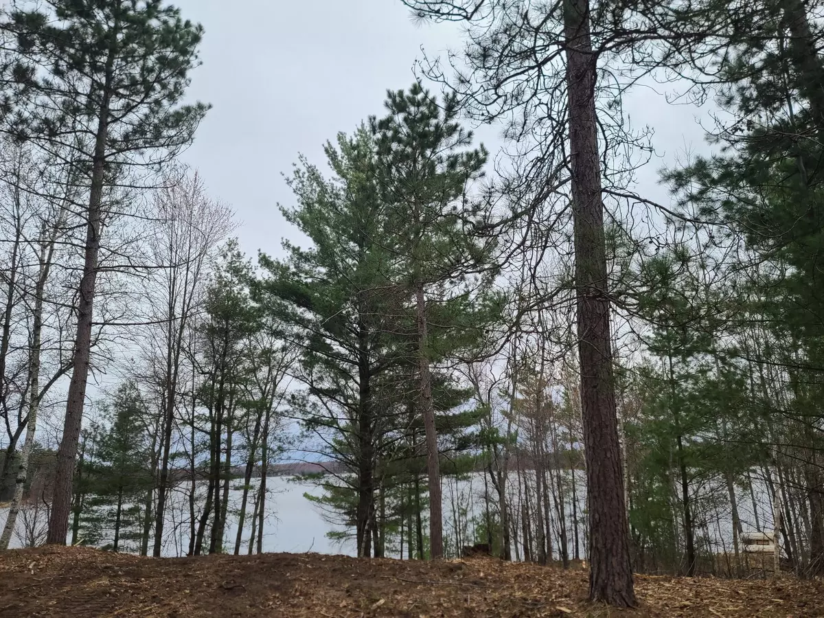 Webster, WI 54893,Lot 2 Mallard Lake RD