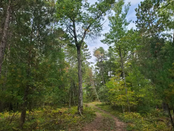 Webster, WI 54893,Lot 2 Mallard Lake RD