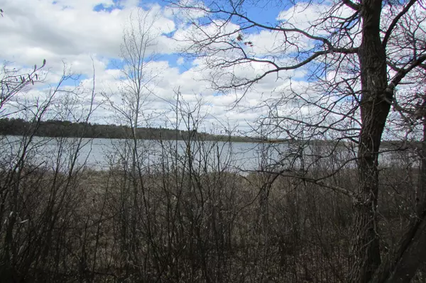 Park Rapids, MN 56470,Lot 14 Big Buck DR