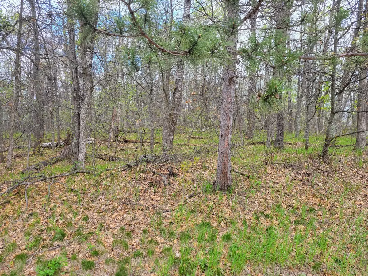 Breezy Point, MN 56472,TBD Cherokee Trail