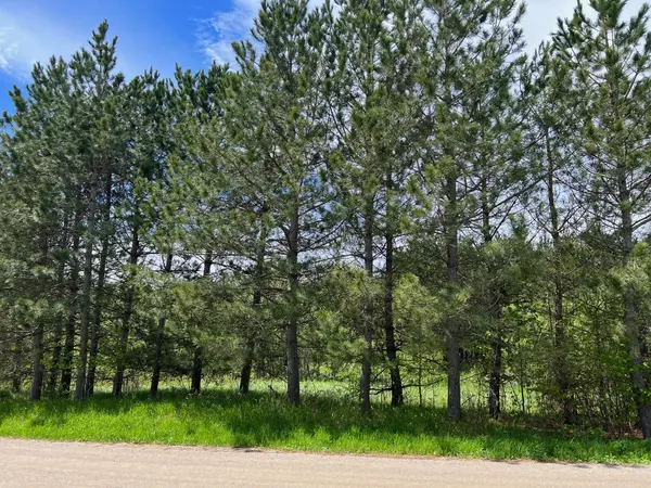 Deer River, MN 56636,464xx County Road 173