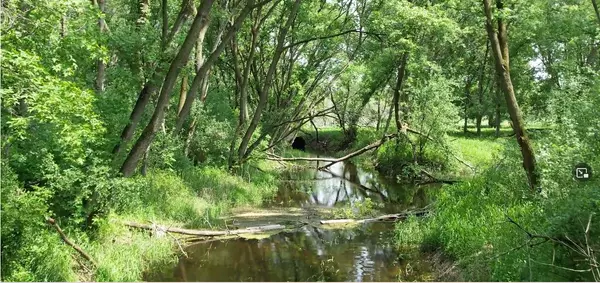 Cedar Lake Twp, MN 56071,1522 Cottonwood TRL