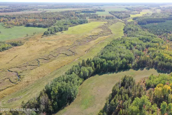 Sebeka, MN 56477,Tbd 310th St