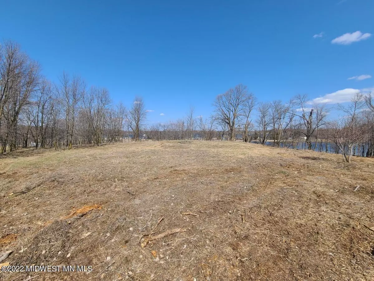 Frazee, MN 56544,471XX Lot D 374th AVE