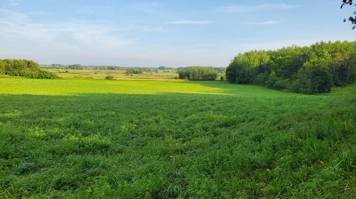 Parkers Prairie, MN 56361,48xxx County Highway 38