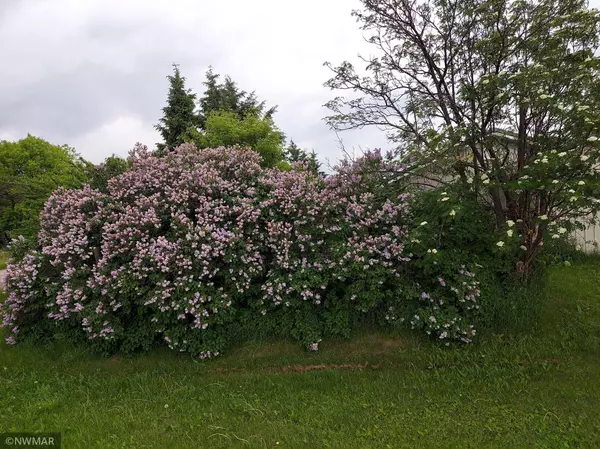 Mizpah, MN 56660,10874 County Road 25