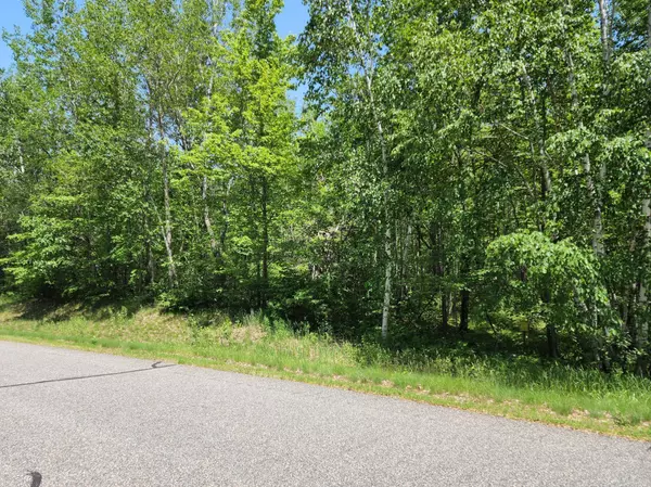 Breezy Point, MN 56472,TBD Four Seasons PL