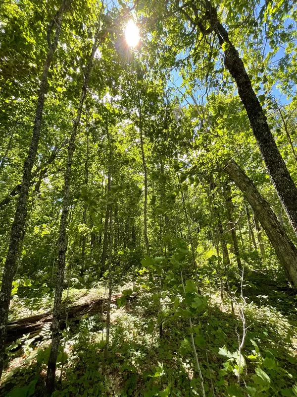 Lot 9 Block3 Hillside Drive, Lutsen, MN 55612