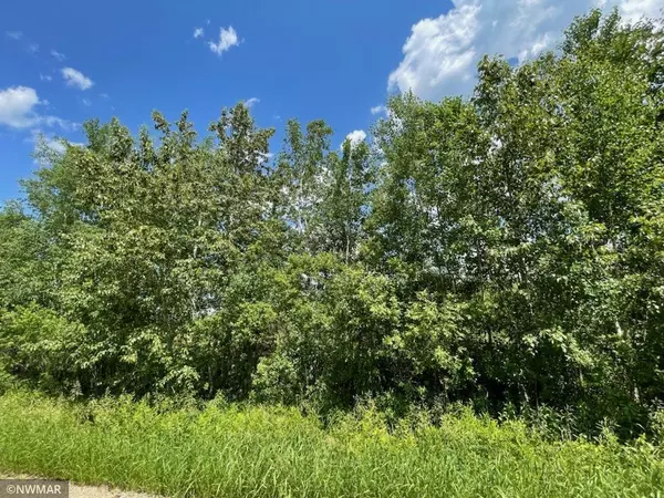 Laporte, MN 56461,Lot C Old Brook RD