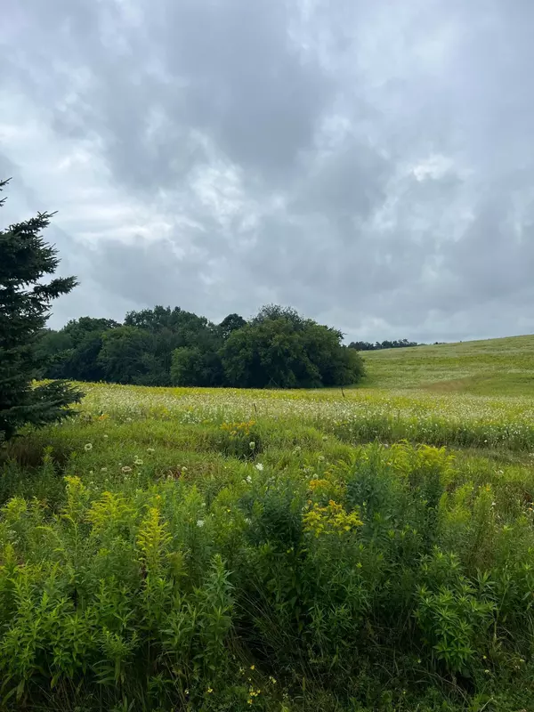 Glenwood City, WI 54013,165 Surrey Ridge TRL