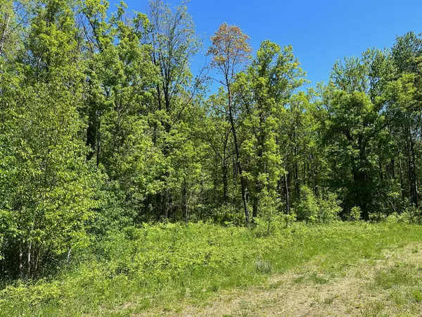 Loon Lake Twp, MN 56472,Lot 2 Mystic CIR