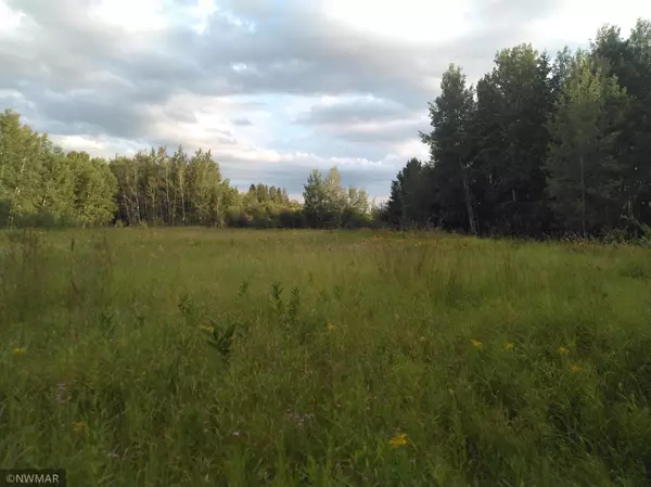 Shevlin Twp, MN 56676,TBD CO 23