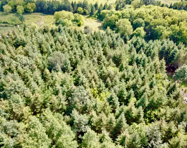 XXX Lot 7, 30th AVE, Amery, WI 54001