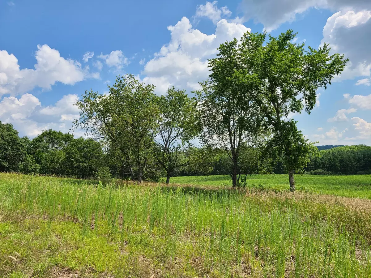 Boyceville, WI 54725,XXX Lot 2 County Road F