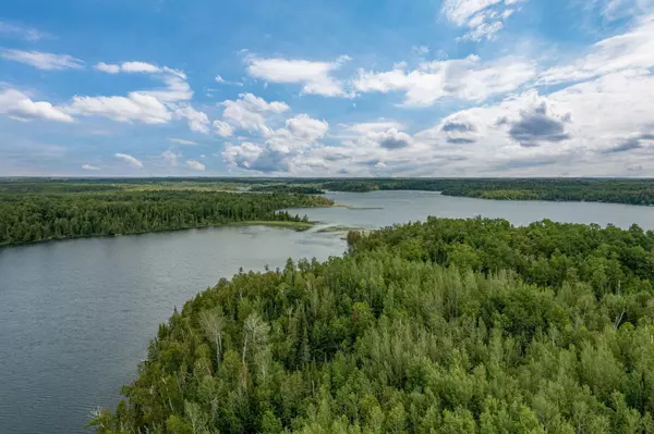 Marcell Twp, MN 56657,46760 North Star Lake RD