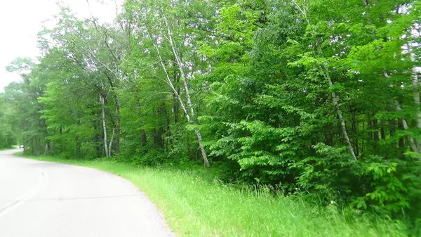 Crosslake, MN 56442,TBD Lot 4 Block1