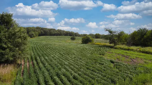 TBD 65th ST, Princeton, MN 55371