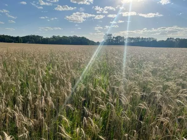 xxx 294th AVE NW, Princeton, MN 55371