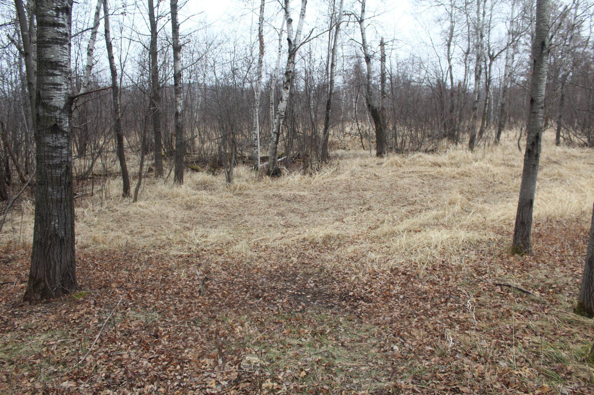 Isanti, MN 55040,262XX Durant ST NE