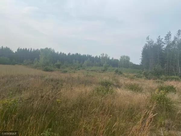 Huntersville Twp, MN 56464,TBD NE Cass line RD