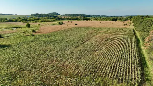 Albany Twp, WI 54755,0 County Road R