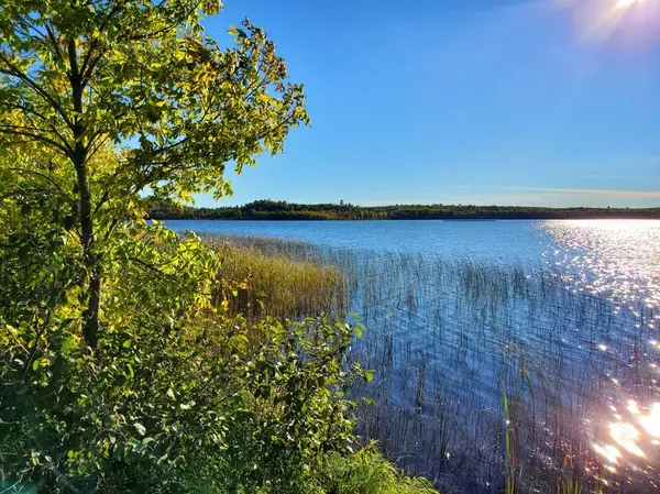 Carpenter Twp, MN 55723,22550 Battle Lake RD