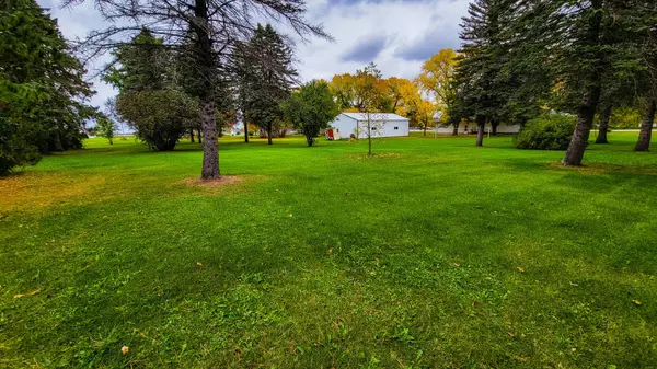 Bowlus, MN 56314,4113 120th AVE