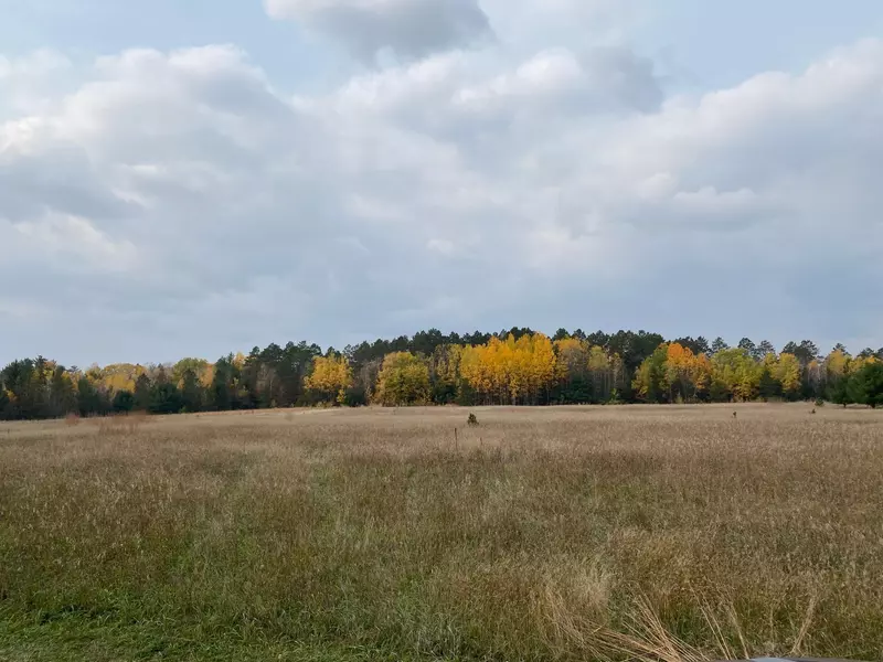 TBD State Highway 371, Powers Twp, MN 56435