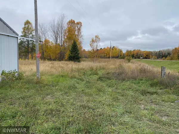 Mizpah, MN 56660,10817 County Road 25