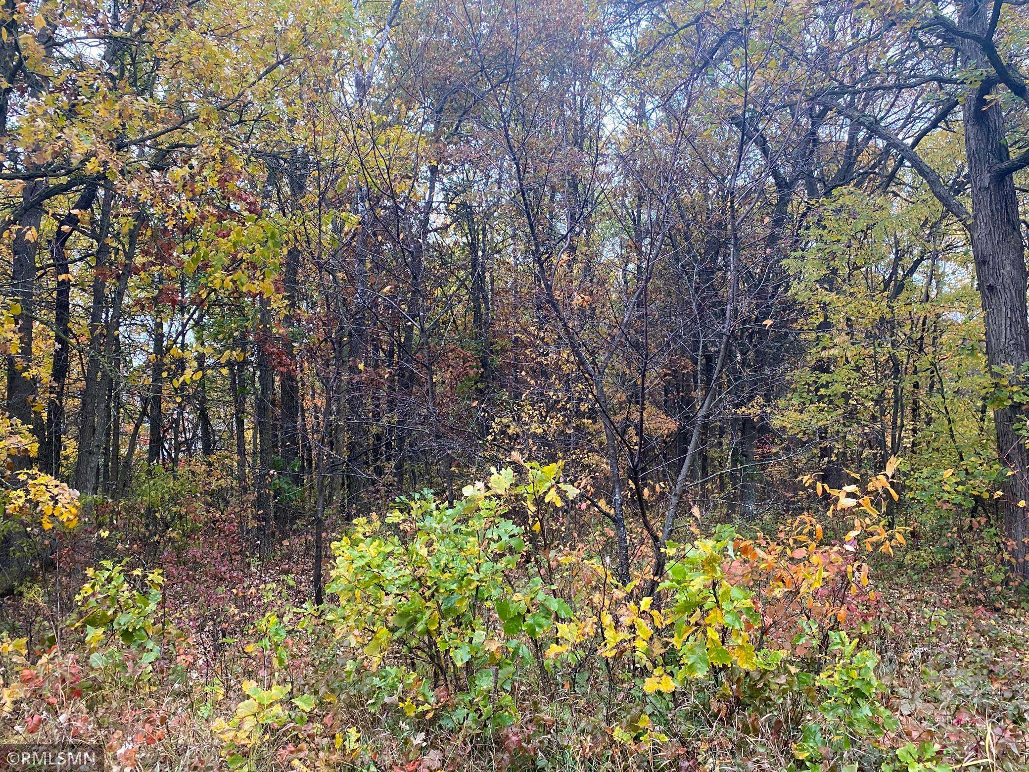 Clear Lake, MN 55319,XXXX 35th St SE