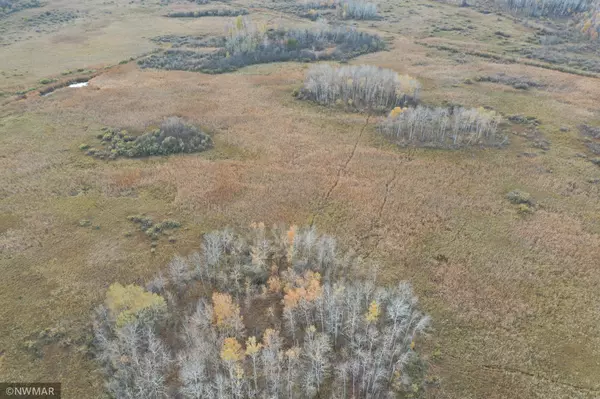 Huntersville Twp, MN 56477,TBD Bunny Hill Rd