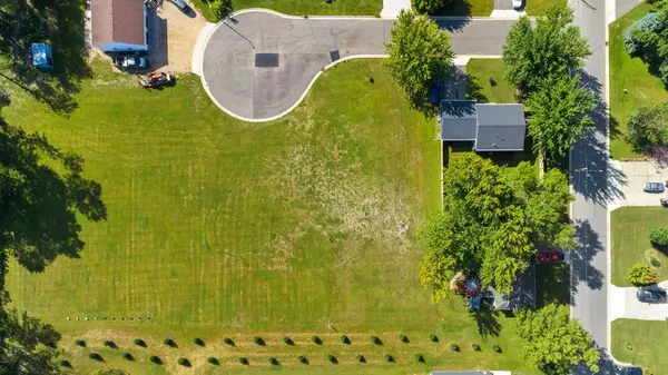 Elysian, MN 56028,XX Lewis LN