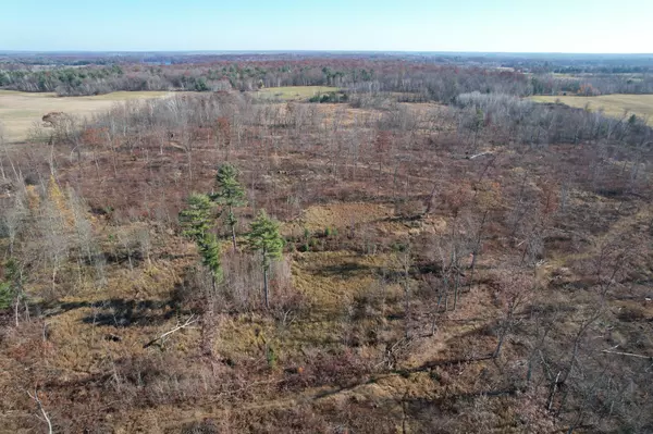 Bone Lake Twp, WI 54853,XXXX Round Lake Road