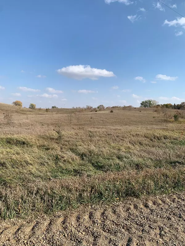 Blooming Prairie Twp, MN 55917,xxx 34th AVE SE