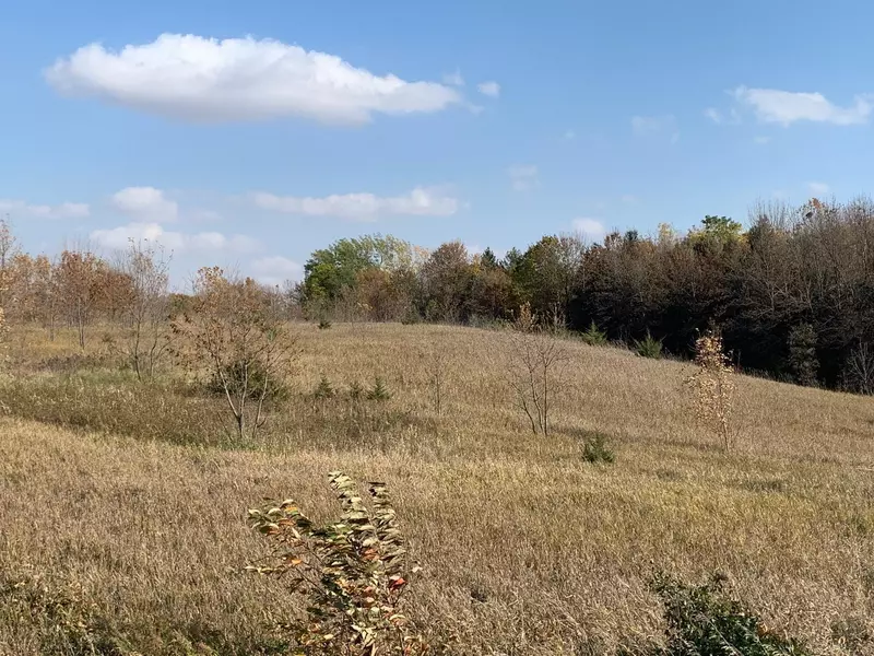 xxx 34th AVE SE, Blooming Prairie Twp, MN 55917