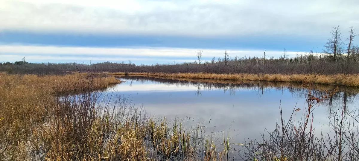 Mcgrath, MN 56350,XXXX 228th LN