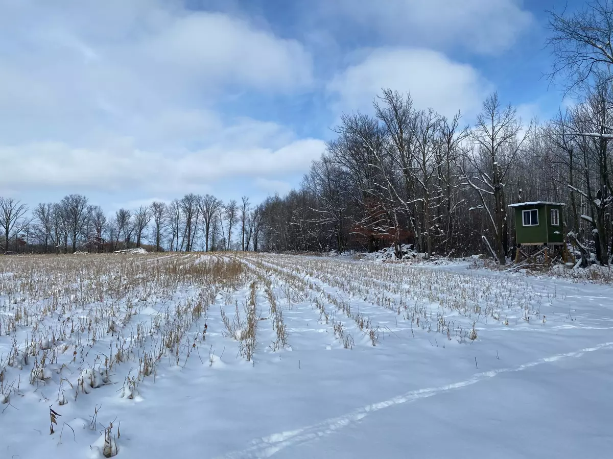 Woodside Twp, MN 56437,20497 635th AVE