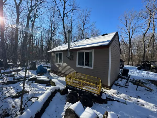 Dailey Twp, MN 56338,XXX Merlin RD