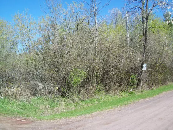 Sandstone, MN 55072,XYZ Old Military Rd S.