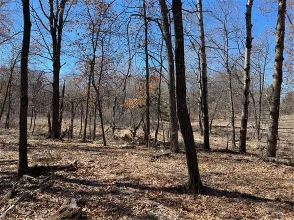 16177 225th AVE NW, Big Lake Twp, MN 55330