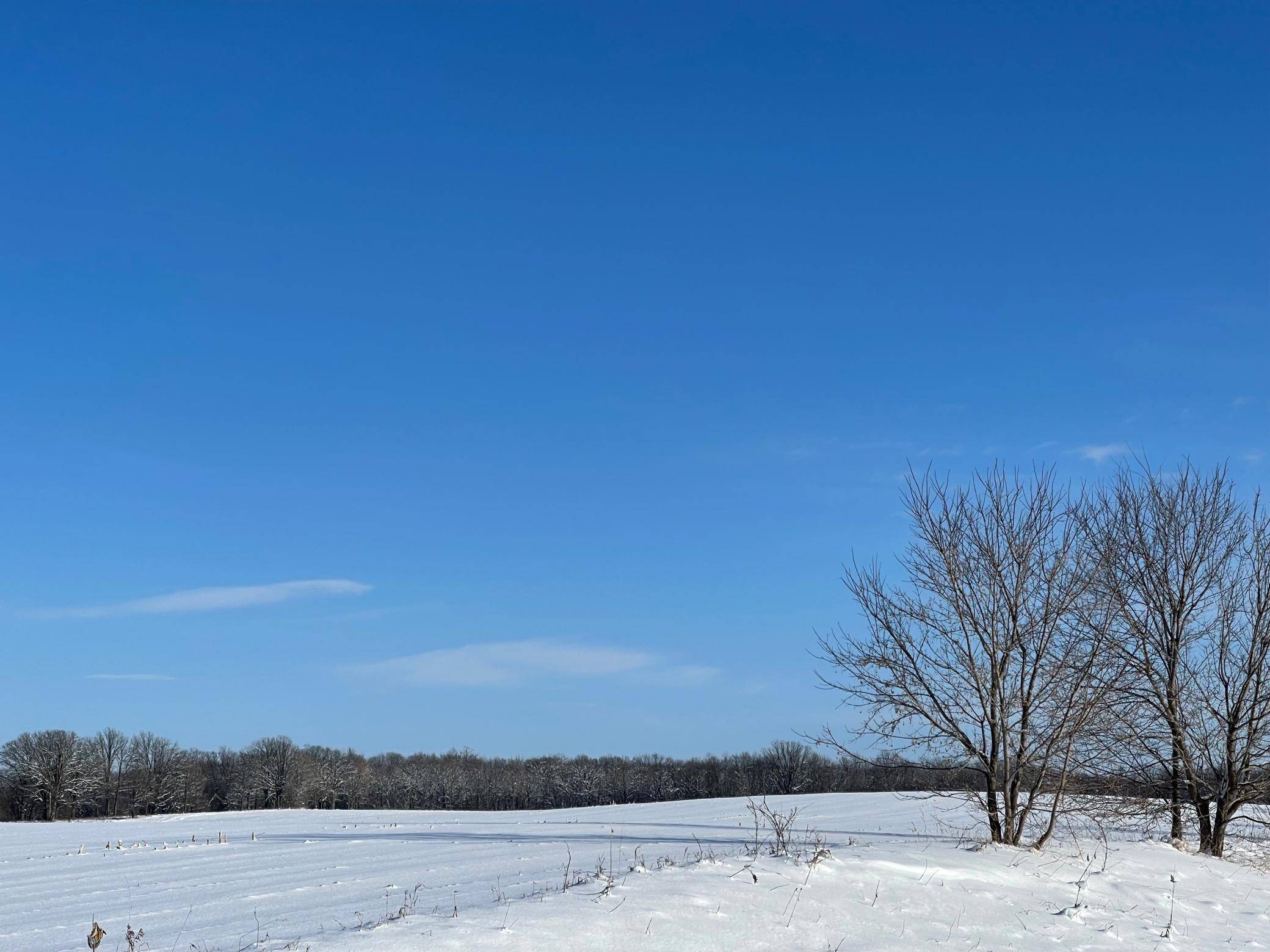 Princeton, MN 55371,XXX 75th Street