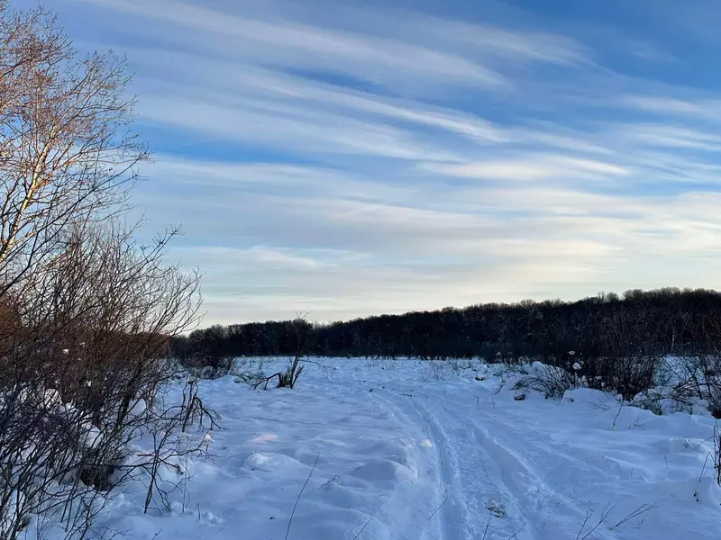 xxx 239 AVE NE, Linwood Twp, MN 55079