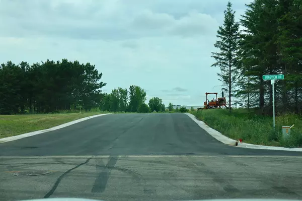 Detroit Lakes, MN 56501,1981 Long Pine DR